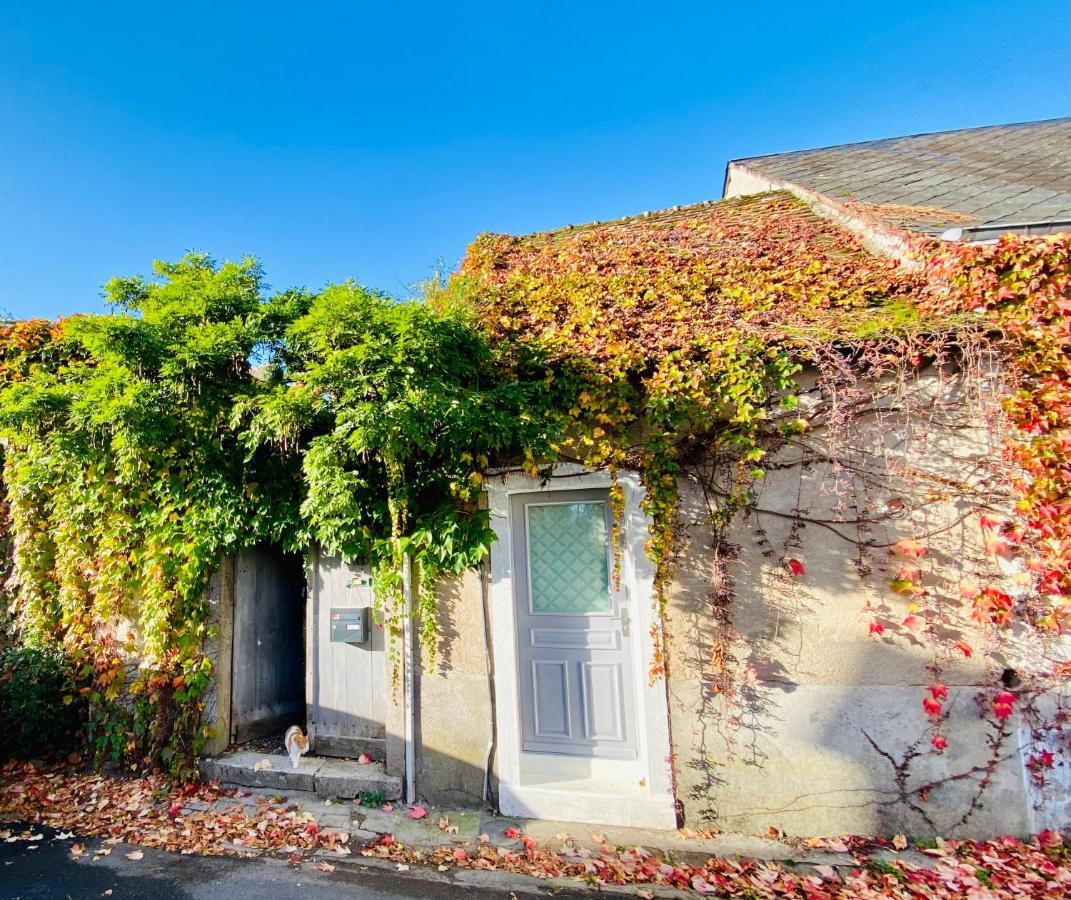 Le Secret De Clamecy Villa Selles-sur-Cher Exterior foto